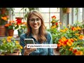 Thumbnail for Nasturtiums: The Ultimate Pest-Repelling, Edible, Companion Flower