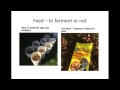 Thumbnail for Julie Rawson: Raising Pastured Turkeys on a Diversified Farm