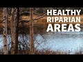 Thumbnail for Healthy Riparian Areas