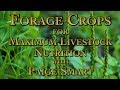 Thumbnail for Forage Crops for Maximum Livestock Nutrition with Paige Smart