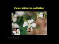 Thumbnail for "From Data to Biodiversity" with Dr. Rob Gegear