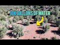 Thumbnail for A Crash Course To Strategic Rainwater Harvesting Design