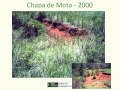 Thumbnail for Getting Results on the Land with Holistic Management