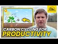 Thumbnail for Managing the Carbon Cycle for Productivity in Regenerative Farming