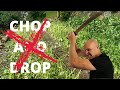 Thumbnail for Why CHOP and DROP with cover crops is a WASTE OF TIME!