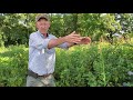 Thumbnail for Greg Judy shares his tips for keeping his electric fence super hot!