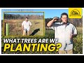 Thumbnail for Planting Trees on a Regenerative Farm