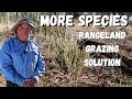 Thumbnail for From Crisis to Thriving: Regenerative Grazing in Outback NSW