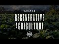 Thumbnail for Regenerative Agriculture - Why it matters!