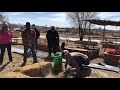 Thumbnail for Introduction to worm composting