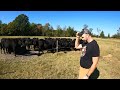 Thumbnail for What Nobody is Telling You about Starting Your Own Farm, STRESS! $$$$