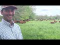 Thumbnail for Despite no rain, cow mob and grass looking good.