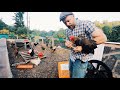 Thumbnail for Chickens Escaping | 2 Strikes and You’re Out
