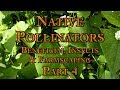 Thumbnail for Native Pollinators, Beneficial Insects & Farmscaping Part 4
