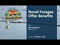 Thumbnail for Novel Forages Offer Benefits