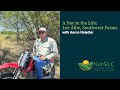 Thumbnail for A Day in the Life: Lee Albe, Southwest Farms | Natalia, Texas