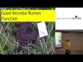 Thumbnail for High Density Mob Grazing with Greg Judy (Part 3)