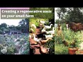 Thumbnail for Creating a Regenerative Oasis on Your Small Farm