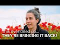 Thumbnail for How to Bring a River BACK TO LIFE (with Regenerative Agriculture)