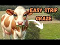 Thumbnail for Easy Strip Grazing: Secrets Revealed