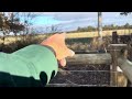 Thumbnail for Greg and crew building 5 wire hi-tensile fence with Timeless posts.