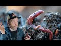 Thumbnail for What Tillage Does to Soil (but why I recommend it sometimes) + The Garden...