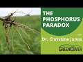 Thumbnail for "The Phosphorus Paradox" with Dr. Christine Jones (Part 2/4)