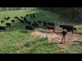Thumbnail for Learn Regenerative farming that works...no sprays,chemicals..natures way