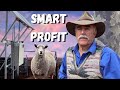Thumbnail for Low Risk Farming: The Smart Profitable Future