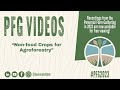 Thumbnail for PFG 2023: Non-food Crops for Agroforestry