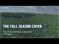 Thumbnail for Full Season Cover: The Power of Plant Diversity