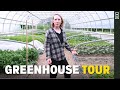 Thumbnail for What's Growing In The Old Mill Greenhouse? Tour With Farm Manager Angie