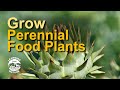 Thumbnail for Creating the PERFECT Perennial Vegetable Garden in Australia