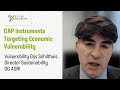 Thumbnail for CAP Instruments Targeting Economic Vulnerability Gijs Schilthuis Director...
