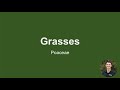 Thumbnail for Grasses with Davis Behle at the Southeast Kansas Soil Health Conference 2024