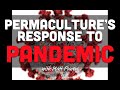 Thumbnail for Permaculture's Response to Pandemic WEBINAR with Matt Powers,...