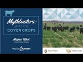 Thumbnail for MYTHBUSTERS: Grazing Cover Crops