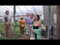Thumbnail for Fertility Systems I, Part 6