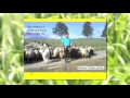 Thumbnail for Grassfed Exchange 2014 - Janet McNally