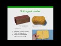 Thumbnail for Top 10 Ways Cover Crops Build Soil Health - Rob Myers