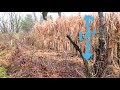Thumbnail for Woven Fence - 10' tall and nearly free!