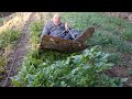 Thumbnail for Knocking Down Cover Crops to Compost in a No-Till Garden