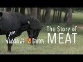 Thumbnail for The Story Of Meat | Regenerative Agriculture Documentary