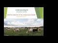 Thumbnail for Greening the Desert, Alejandro Carrillo_9-15-20