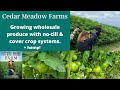 Thumbnail for Steve Groff : Increasing Topsoil with the No-Till Revolution at Cedar Meadow Farm