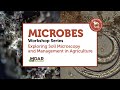 Thumbnail for Soil Health Field Walk: No Till and Microbial Layers Part 1